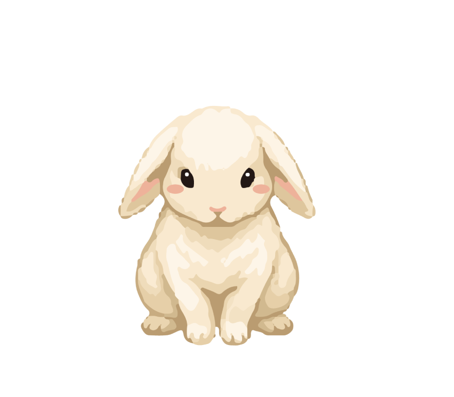 うさぎ